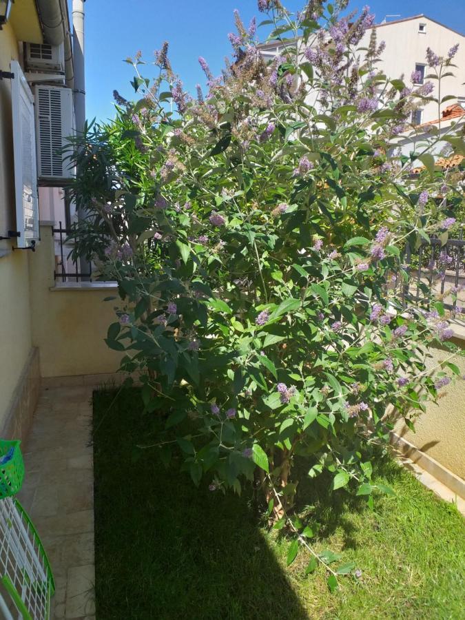 Apartman Vida PUY 외부 사진