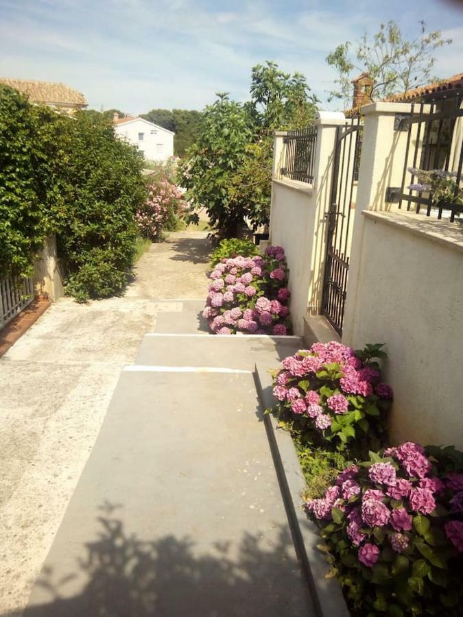 Apartman Vida PUY 외부 사진